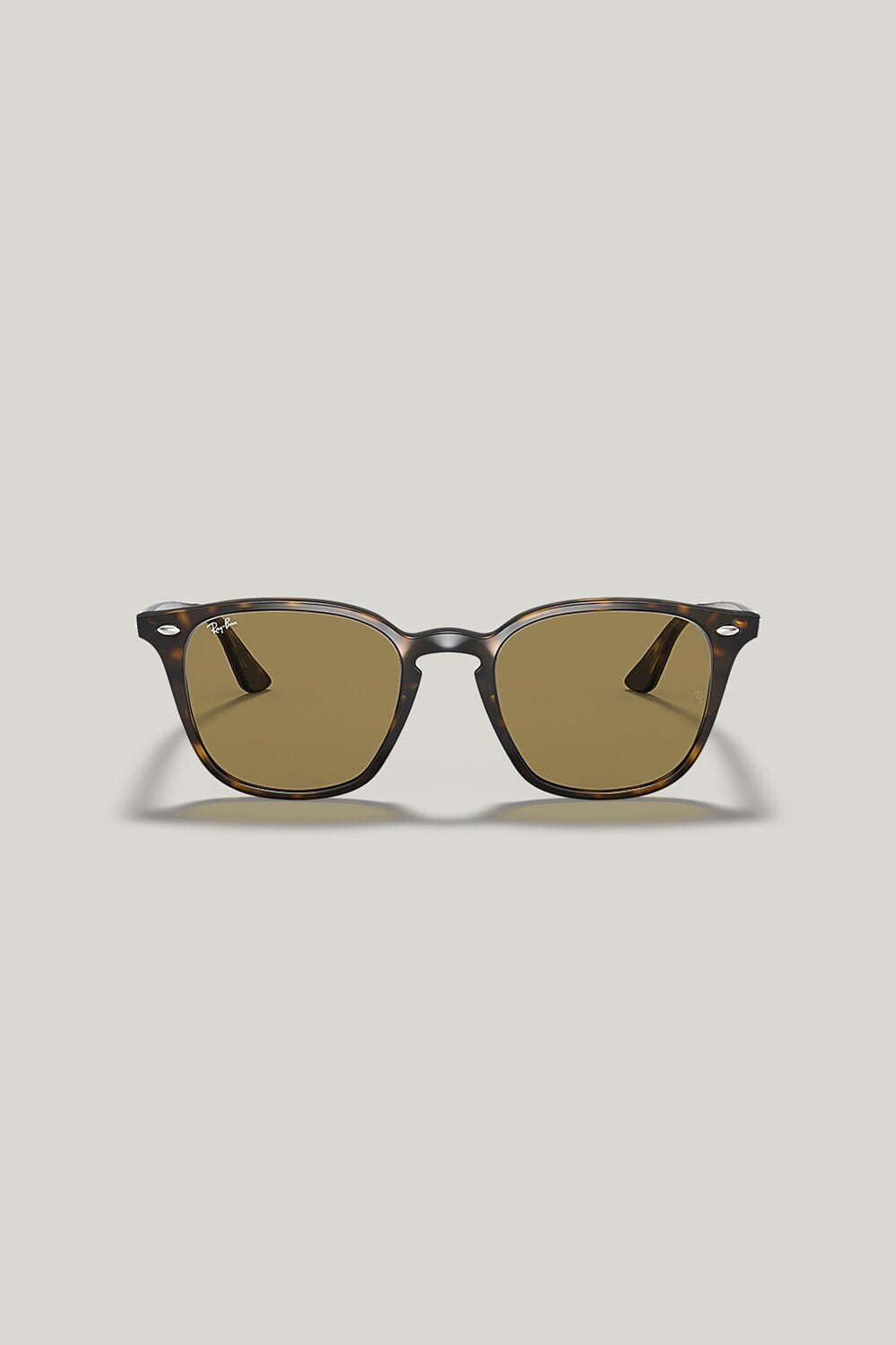 RB4258 - Tortoise - image 2