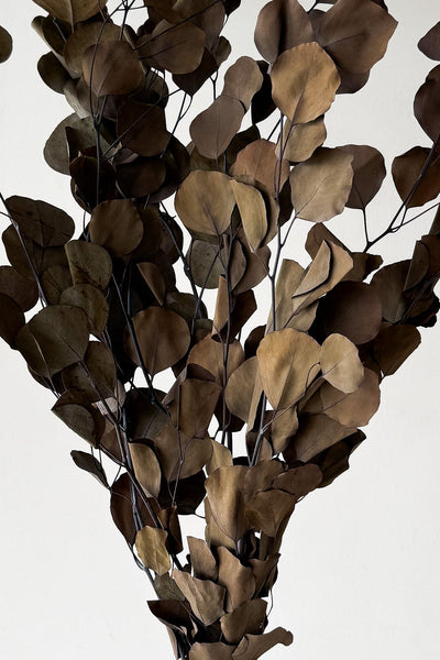 Preserved Polygum Foliage - Natural - image 4