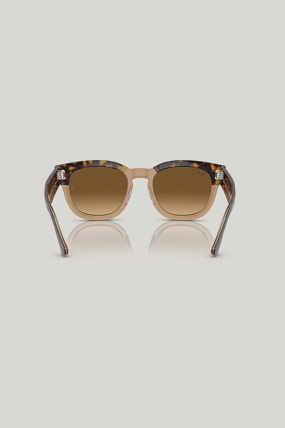 MEGA HAWKEYE Polarised - Tortoise - image 4