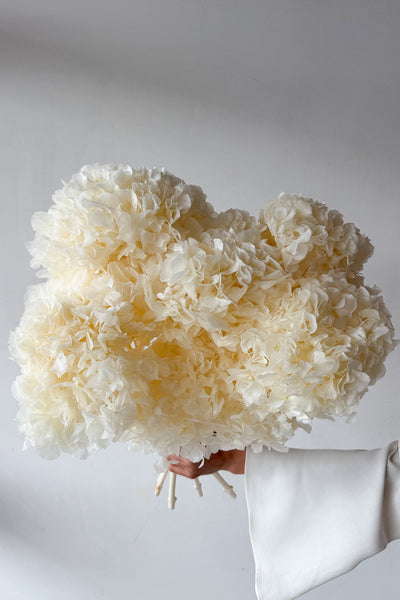 Preserved Large-Leaf Hydrangea Stem - White - image 4
