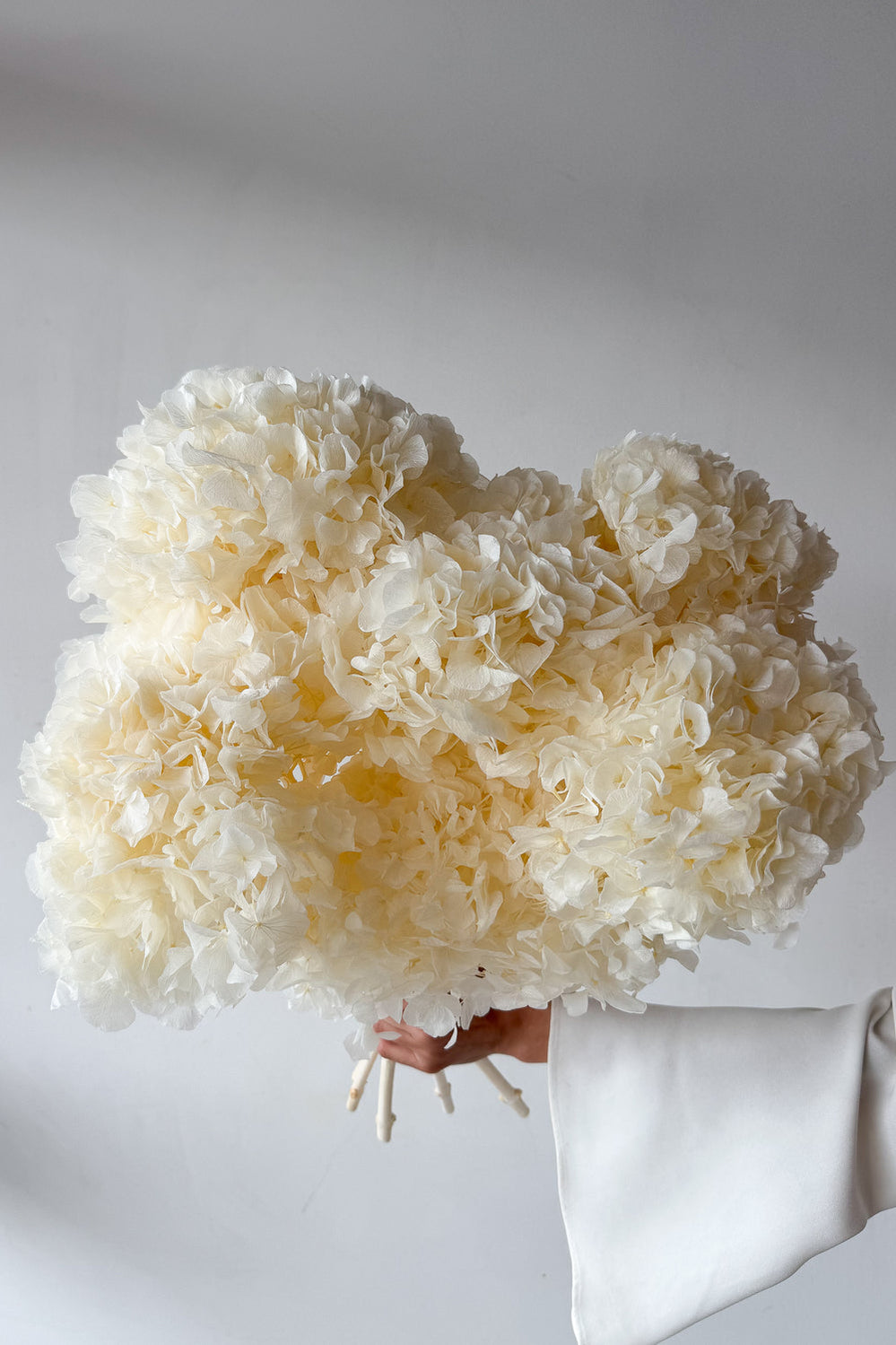 Preserved Large-Leaf Hydrangea Stem - White - image 4