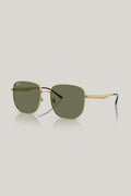 RB3713D Polarised - Gold - image 1