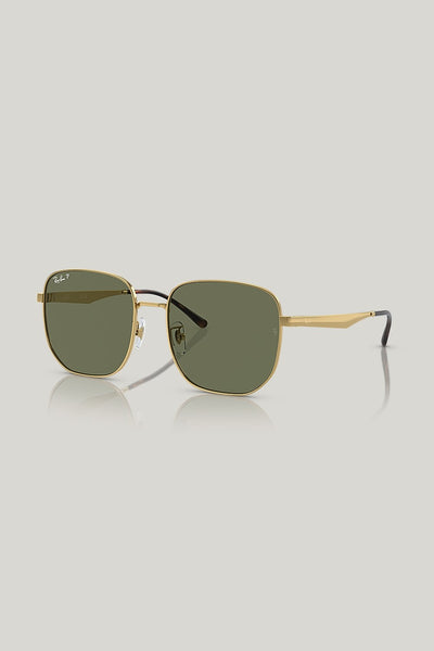 RB3713D Polarised - Gold - image 1