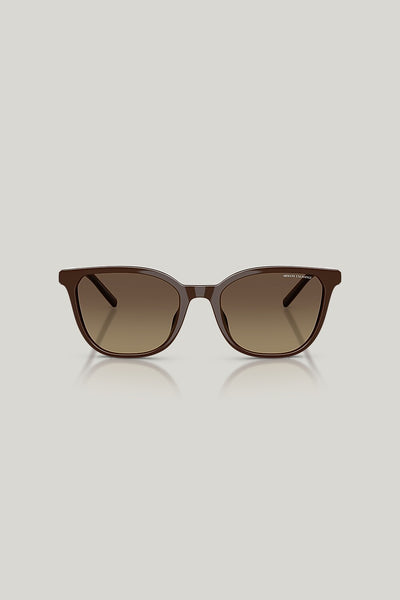 AX4168SU Polarised - Brown - image 2