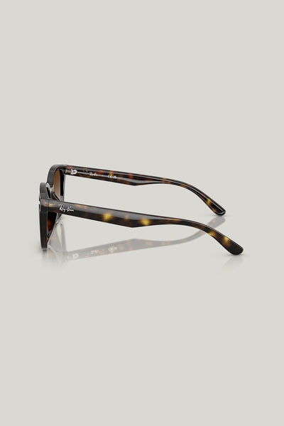 RB4461D - Tortoise - image 3