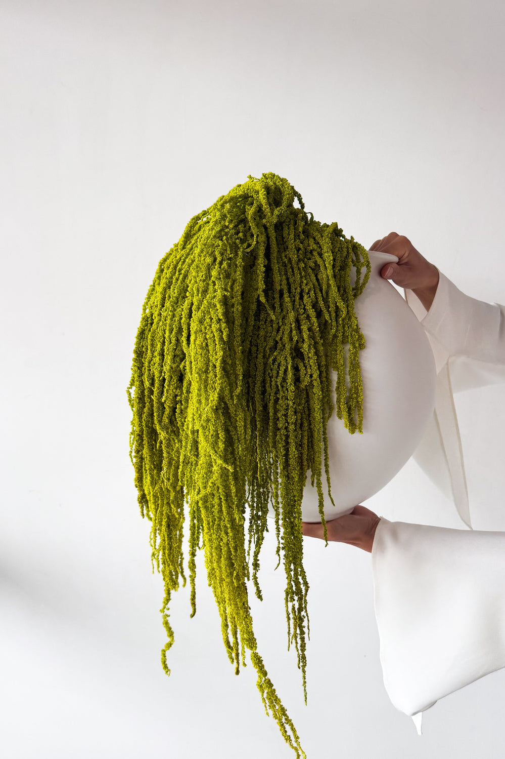 Preserved Amaranthus - Lime Green - image 4