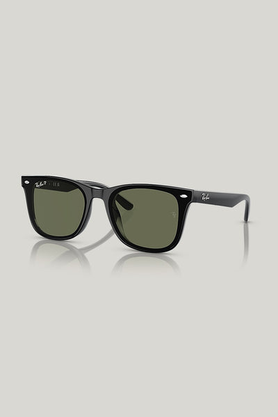 RB4420 Polarised - Black - image 1