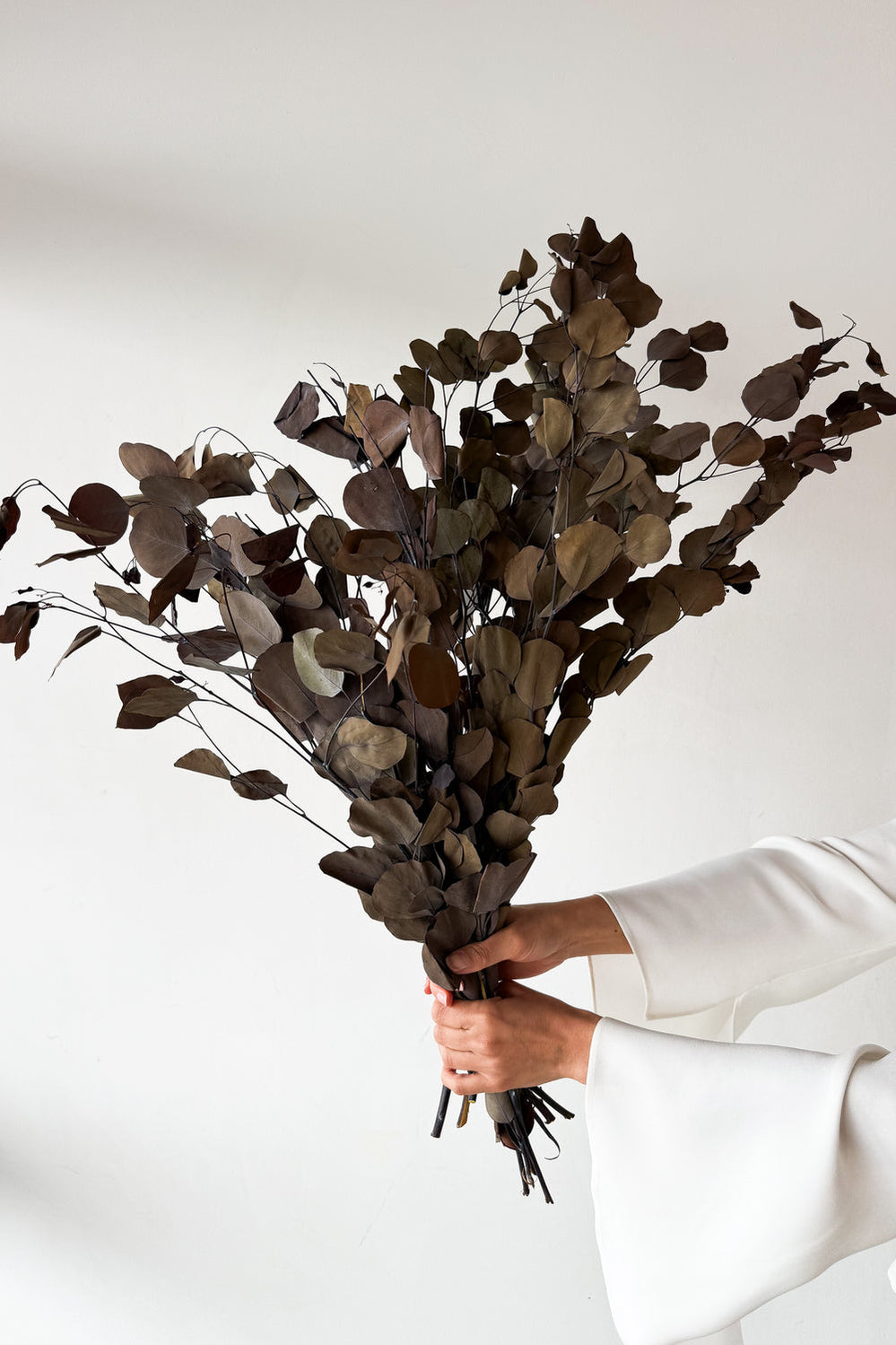 Preserved Polygum Foliage - Natural - image 3