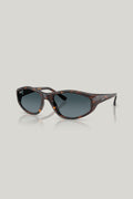 RB2228 Polarised - Tortoise - image 1