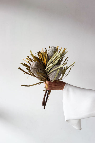 Dried Native Banksia 3 Stems - Natural - image 1