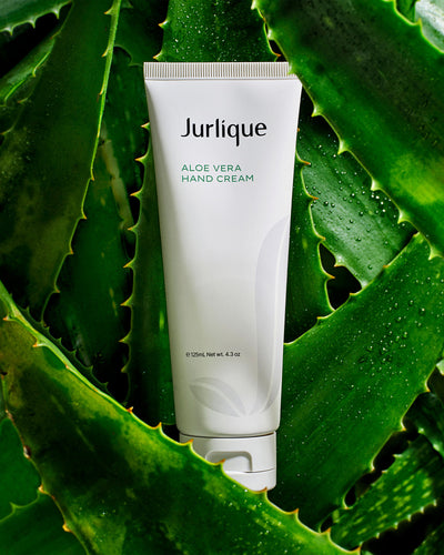 Aloe Vera Hand Cream 125ml - Clear - image 2
