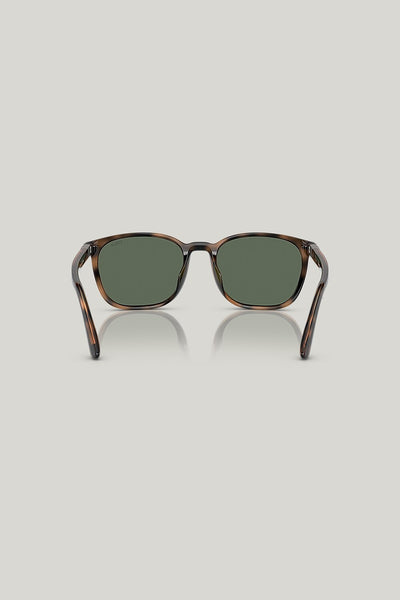 PH4208U - Tortoise - image 4