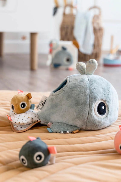 Hide And Seek Activity Toy - Wally - Blue - image 4