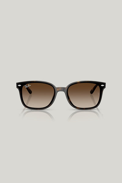 RB4461D - Tortoise - image 2