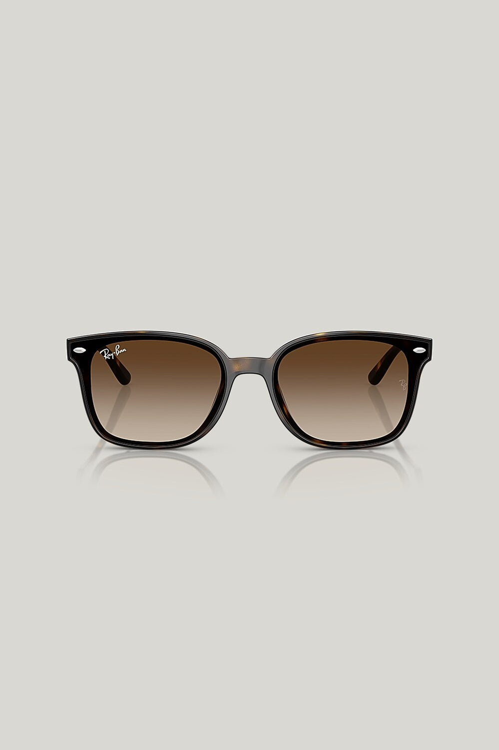 RB4461D - Tortoise - image 2