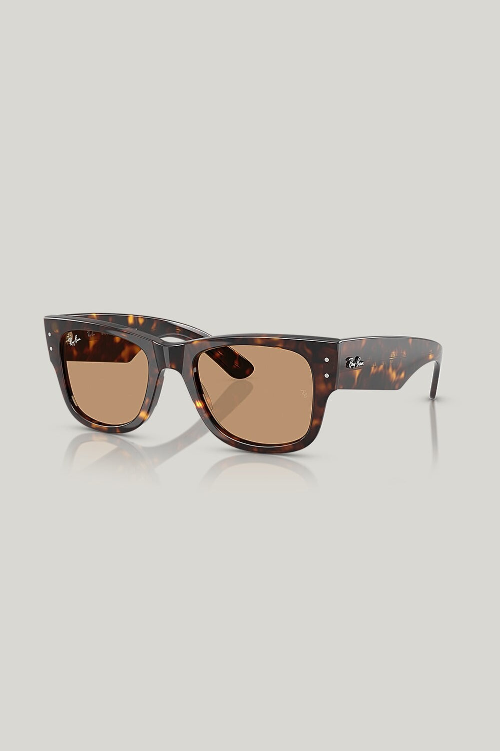 MEGA WAYFARER SUMMER CAPSULE - Tortoise - image 1