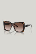 NICE - Tortoise - image 1