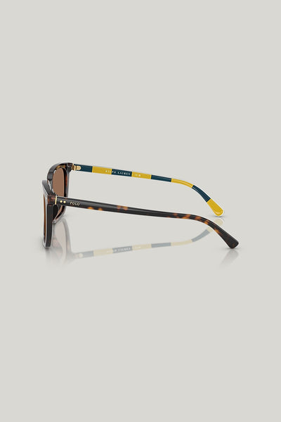 PH4224U - Tortoise - image 3