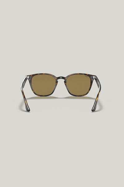 RB4258 - Tortoise - image 4