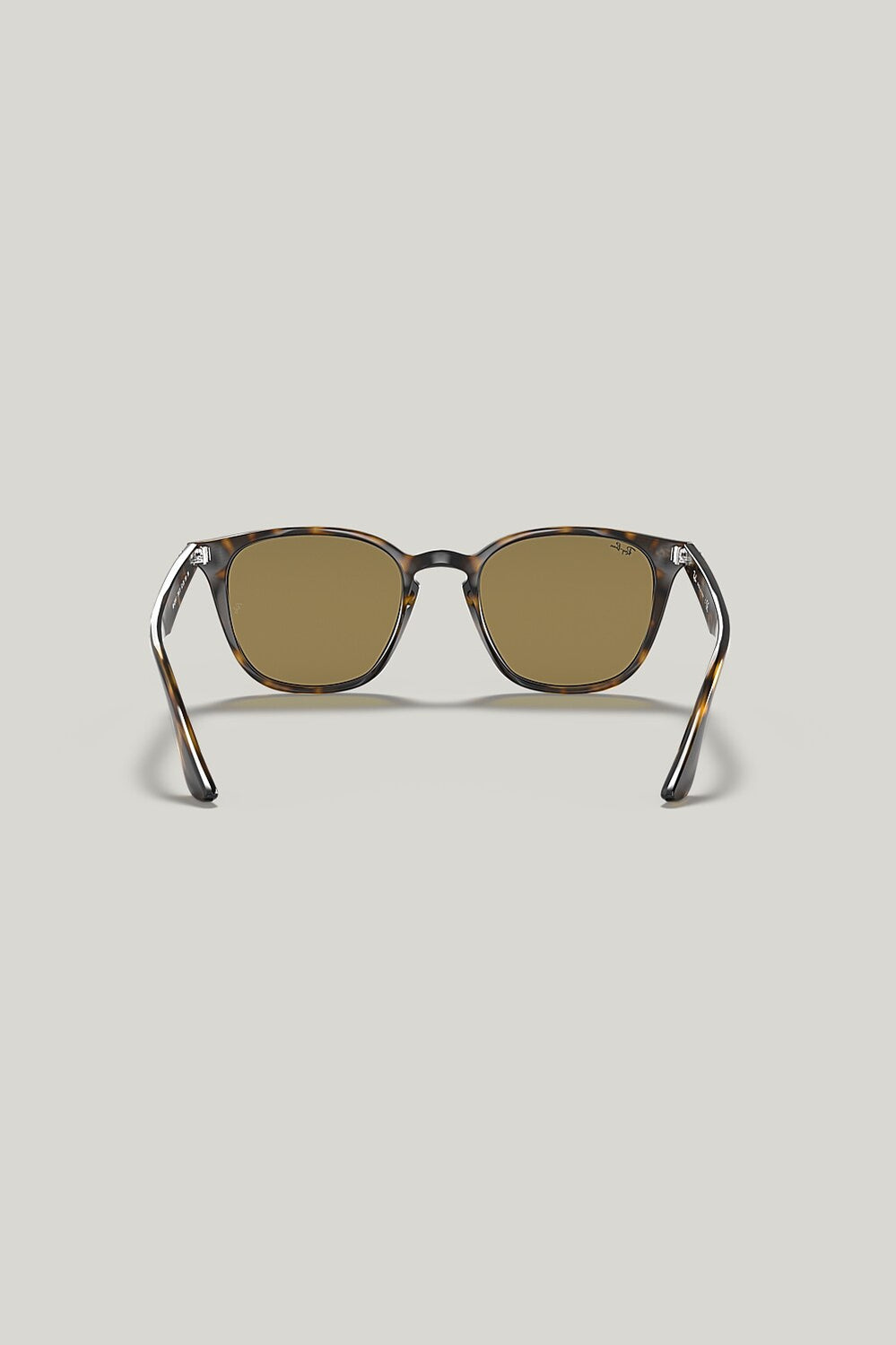 RB4258 - Tortoise - image 4