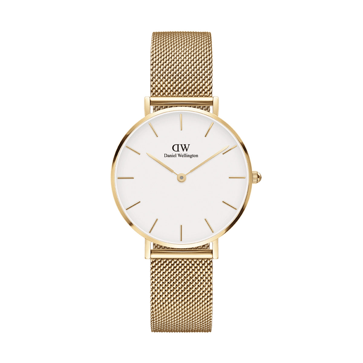 Petite 32 Evergold Gold White Watch - Gold - image 1
