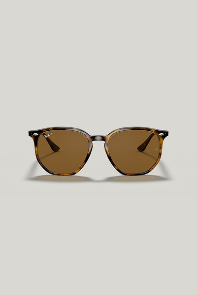 RB4306 Polarised - Tortoise - image 2