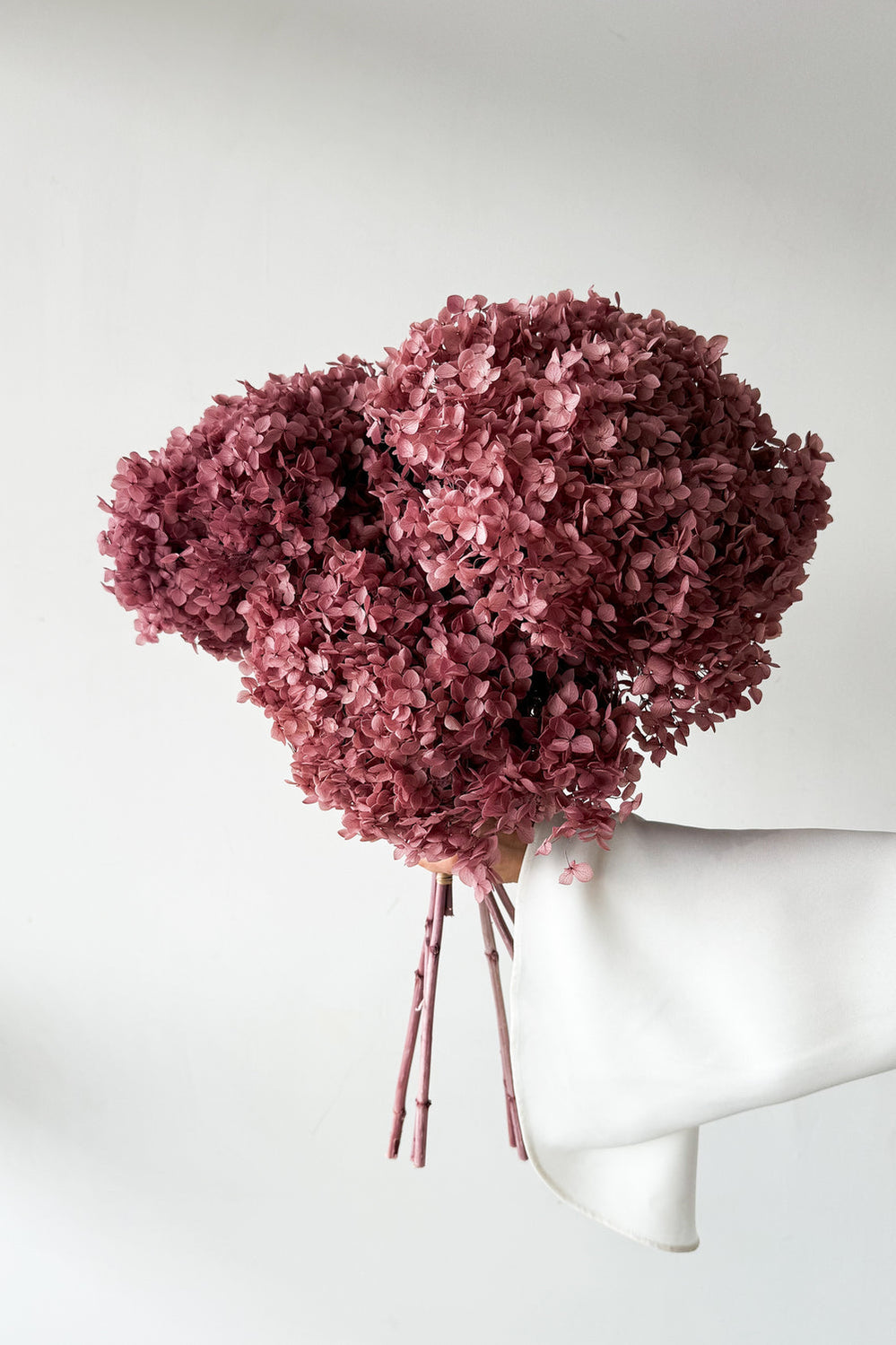 Preserved Small-Leaf Hydrangea Stem - Blush - image 4