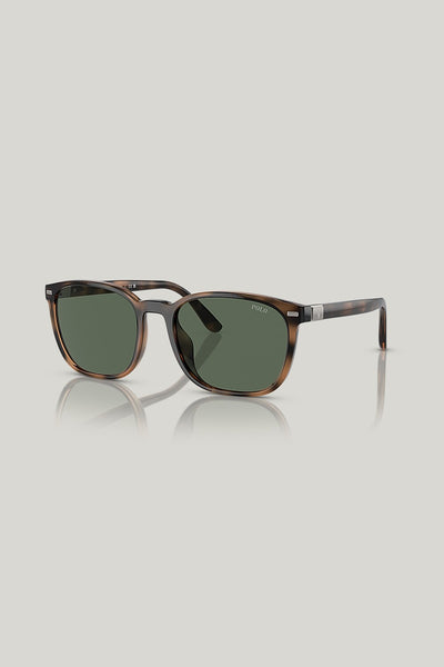 PH4208U - Tortoise - image 1
