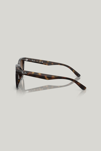 RB4420 - Tortoise - image 3