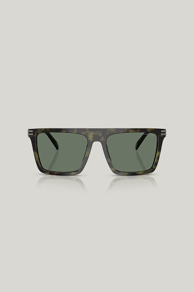 EDGEWATER - Green - image 2