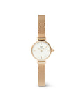 Petite Mini Evergold Watch - Gold - image 1