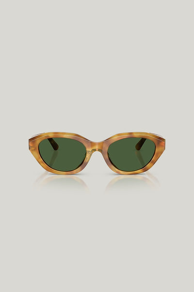 PH4237U - Tortoise - image 2