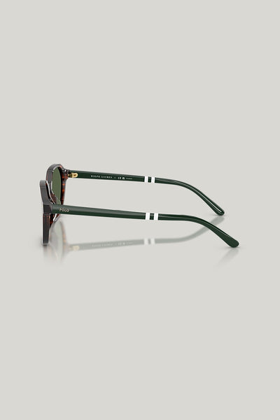 PH4234U Polarised - Tortoise - image 3