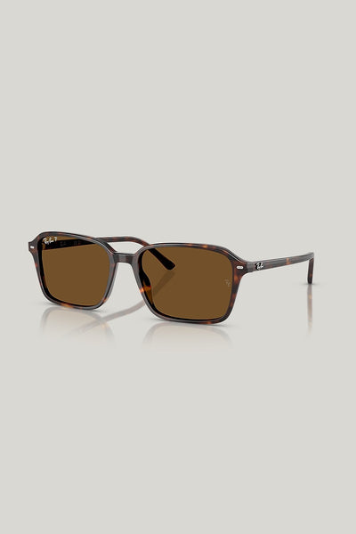 RAIMOND Polarised - Tortoise - image 1
