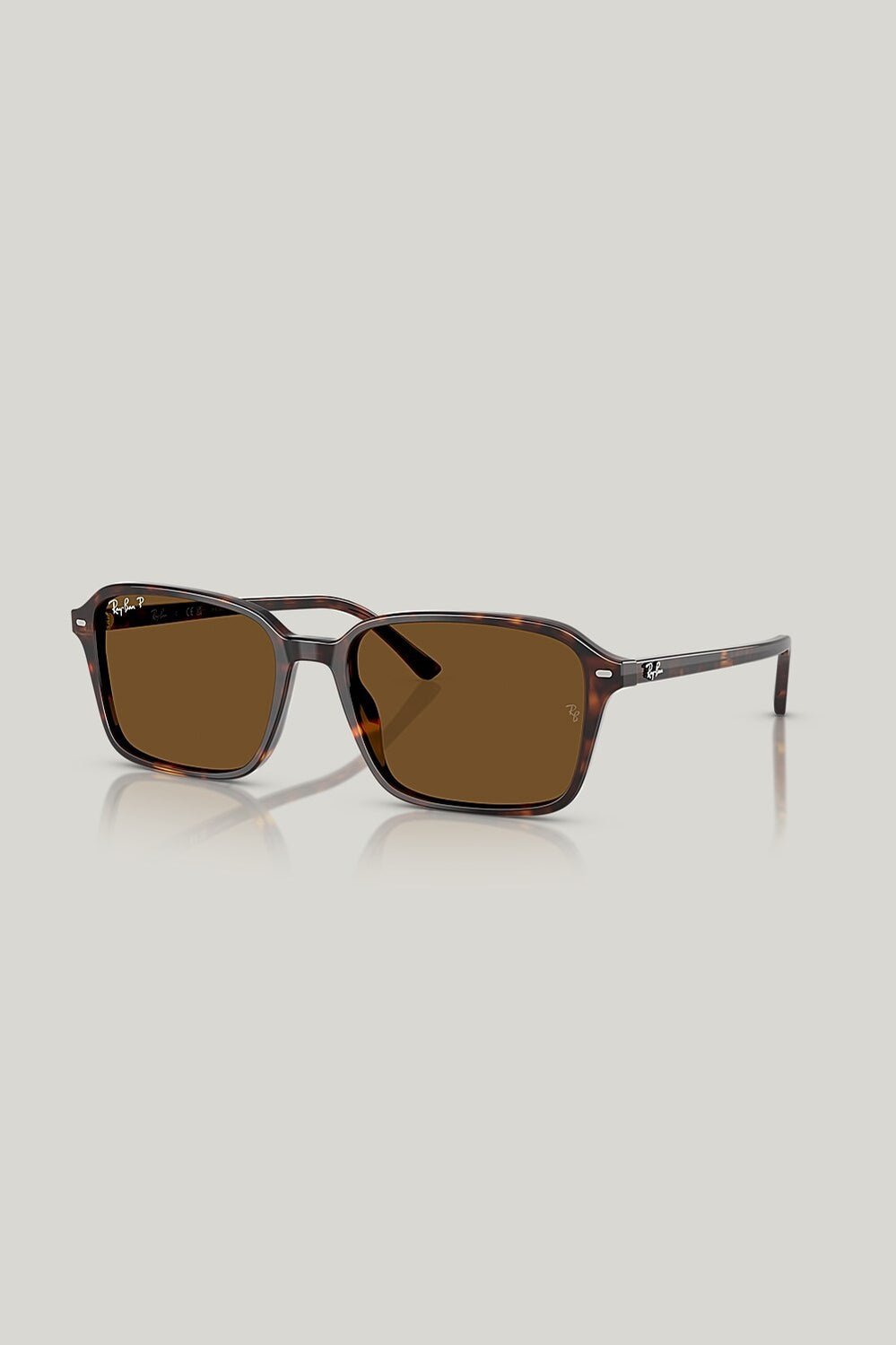 RAIMOND Polarised - Tortoise - image 1