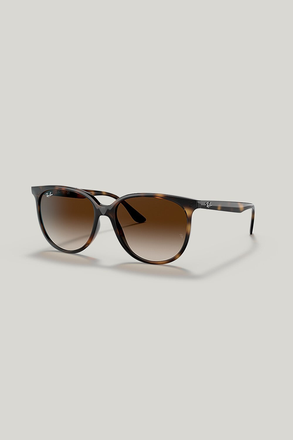 RB4378 - Tortoise - image 1