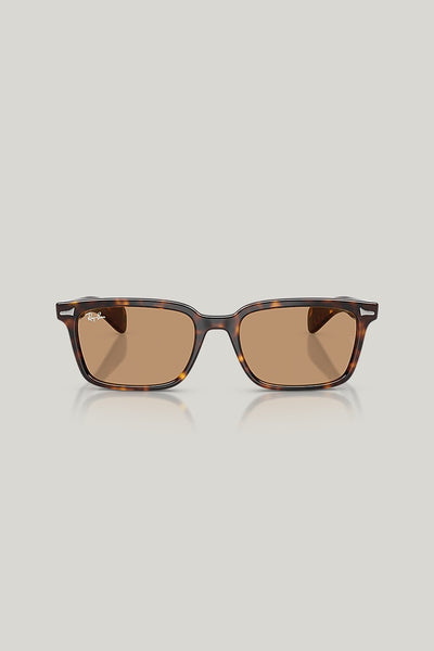 BRUNEL - Tortoise - image 2