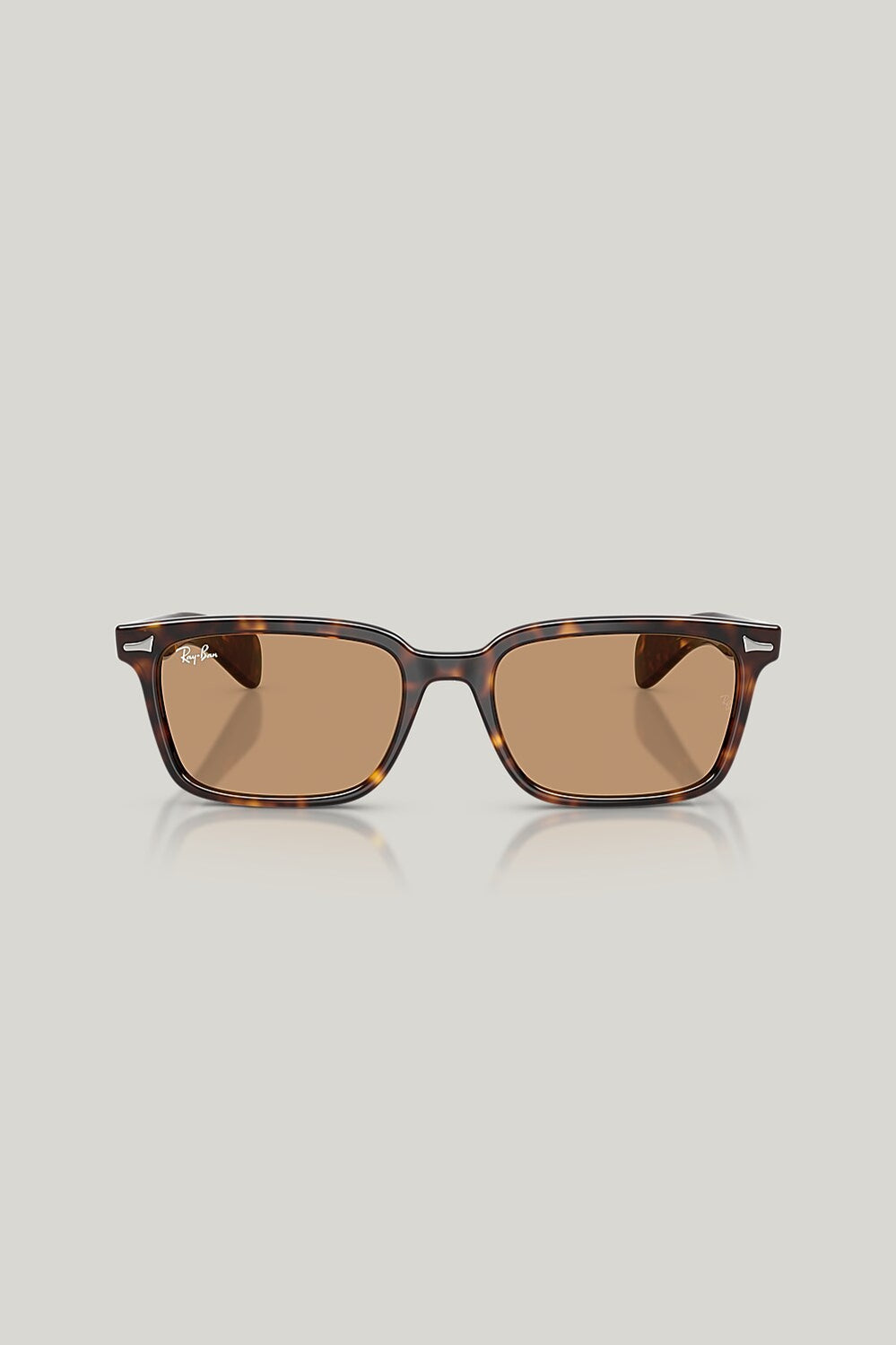 BRUNEL - Tortoise - image 2