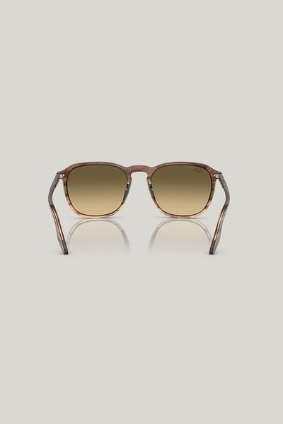 RB2203 - Brown - image 4