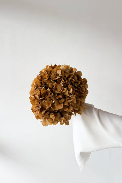 Preserved Large-Leaf Hydrangea Stem - Natural - image 1