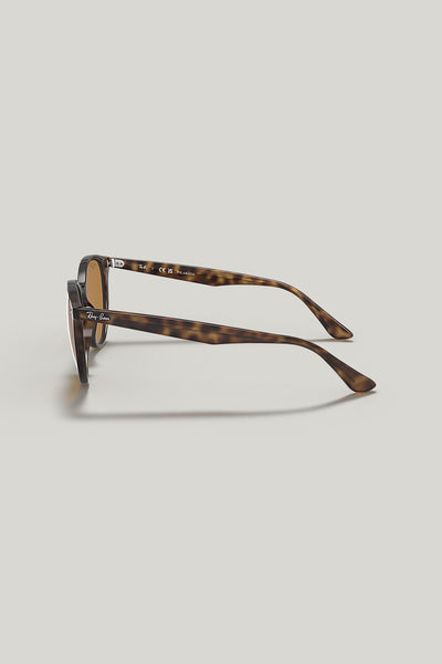 RB4305 Polarised - Tortoise - image 3