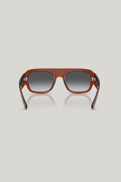 RB2218 Polarised - Brown - image 4