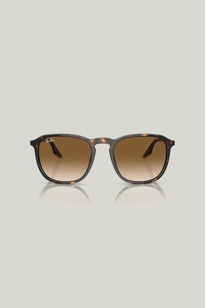 RB2203 - Tortoise - image 2