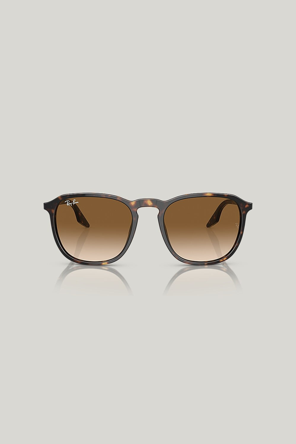 RB2203 - Tortoise - image 2