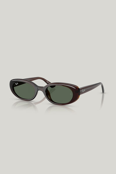RB4441D - Brown - image 1