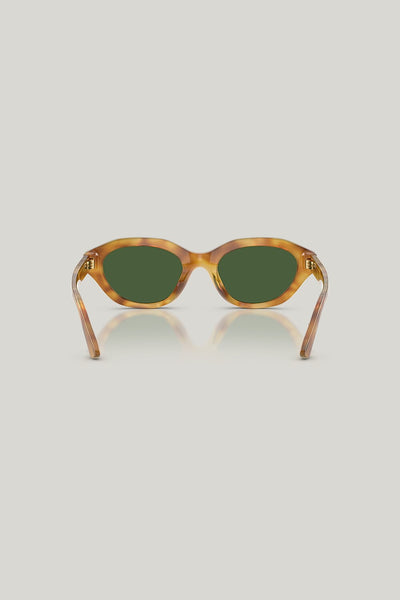 PH4237U - Tortoise - image 4