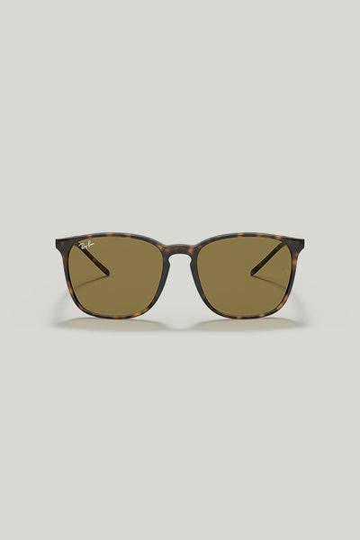 RB4387 - Tortoise - image 2