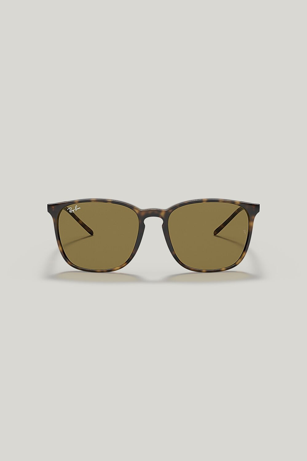RB4387 - Tortoise - image 2