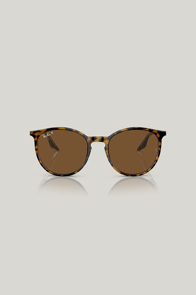 RB2204 Polarised - Brown - image 2