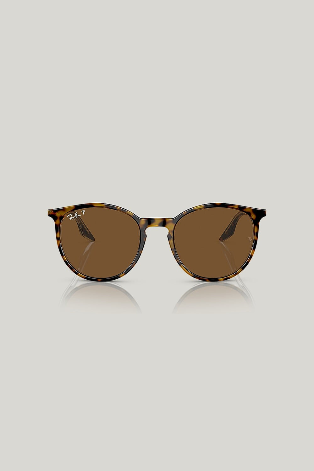 RB2204 Polarised - Brown - image 2